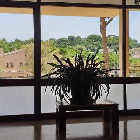 Apartment Domenech Carles 2 Lloret de Mar